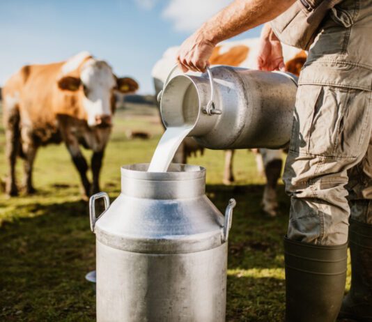 Лучшие молочные предприятия Куинса