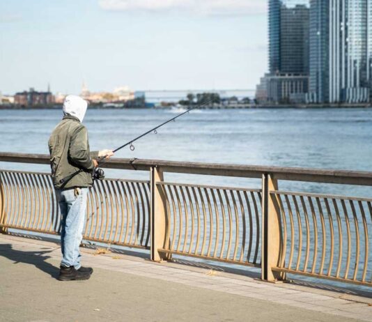 Рыболовство в Куинсе: история, локации, разнообразие фауны