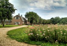 Queens County Farm Museum, a historic farm in Queens