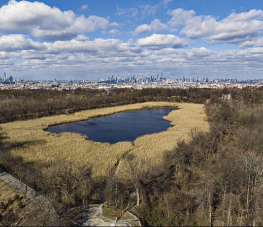 Водохранилище Ridgewood Reservoir – оазис на пересечении Куинса и Бруклина