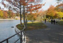Kissena Park: its history and leisure activities