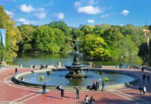 How Green Tourism Operates in Queens