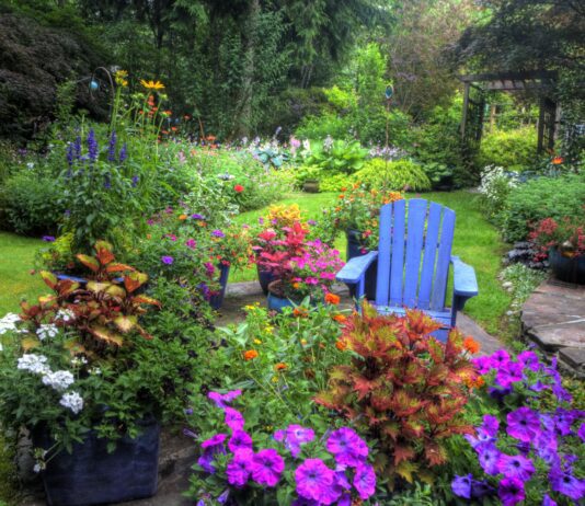 Насолода для очей: найпоширеніші весняні квіти Квінза