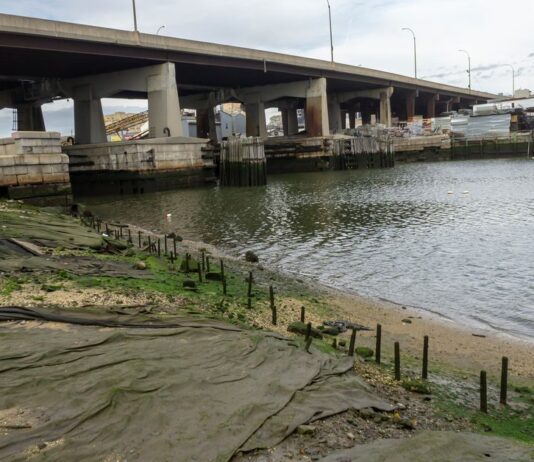 Загрязнение вод в Куинсе: причины и последствия