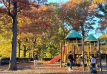 Alley Pond Park