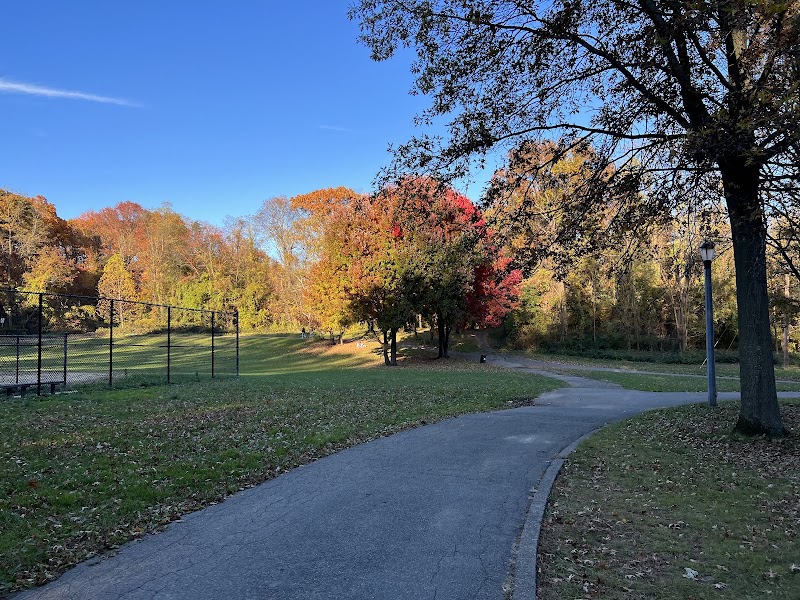 Alley Pond Park