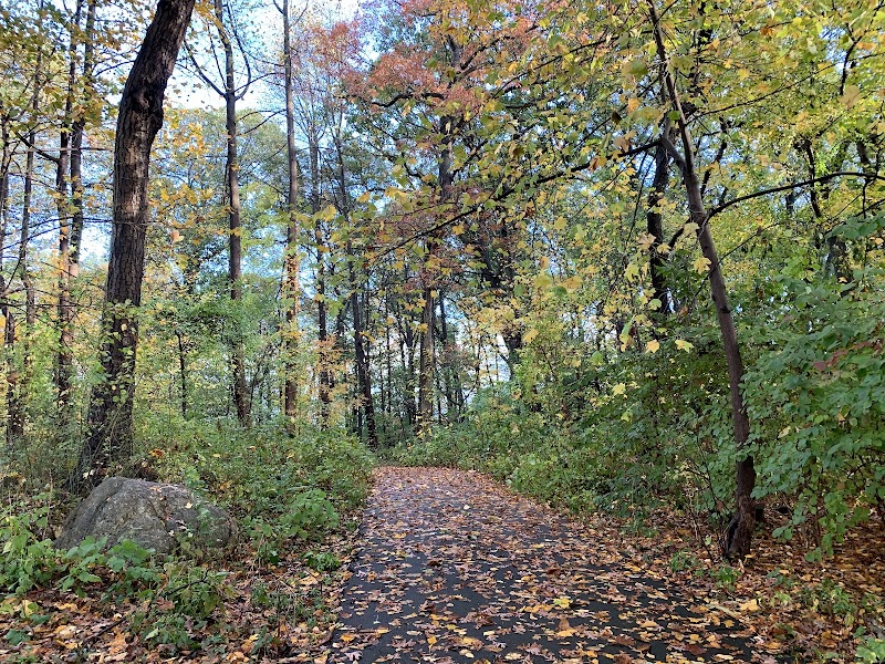 Alley Pond Park