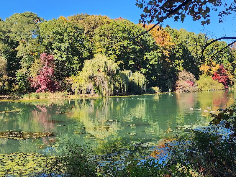 Alley Pond Park