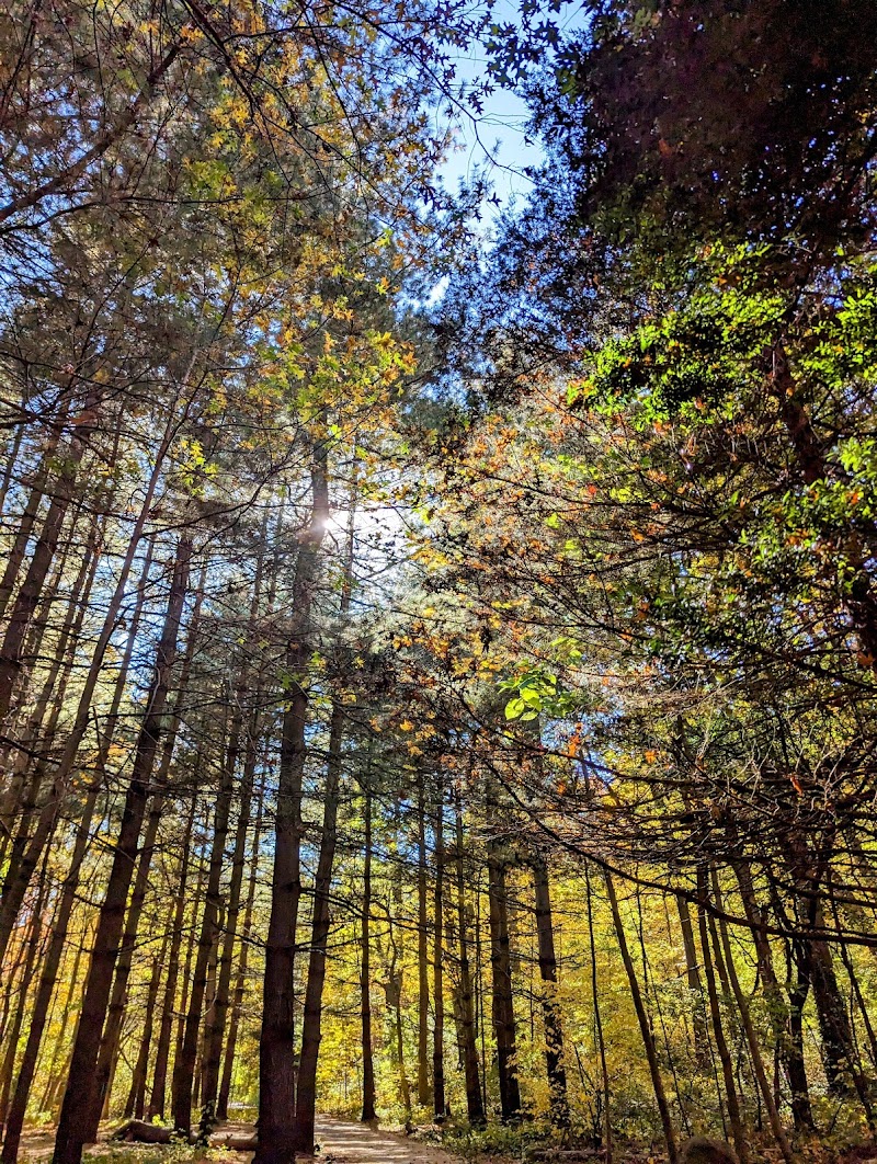 Alley Pond Park