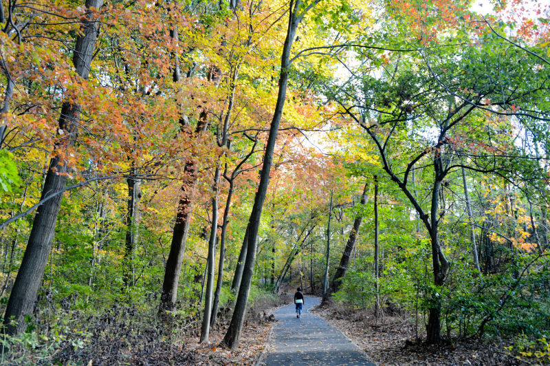 Cunningham Park