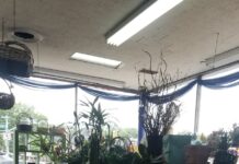Danas Flower Shop