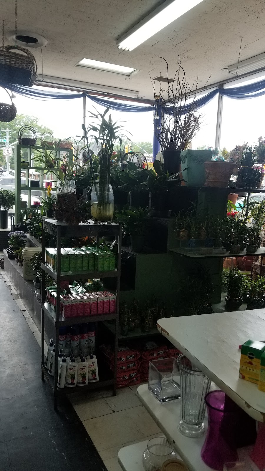 Danas Flower Shop — Florist