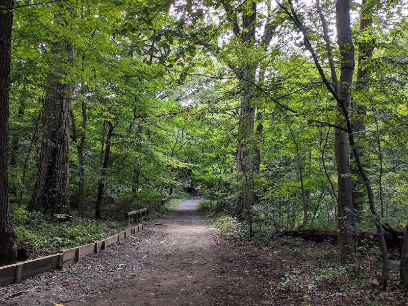 Forest Park