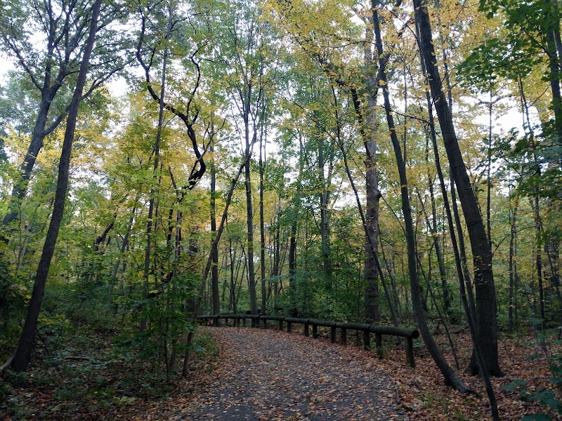 Forest Park