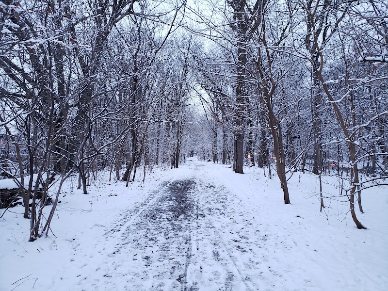 Forest Park