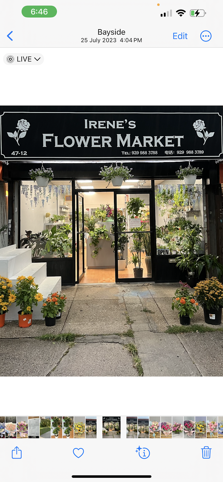 Irene’s Flower Market — Florist