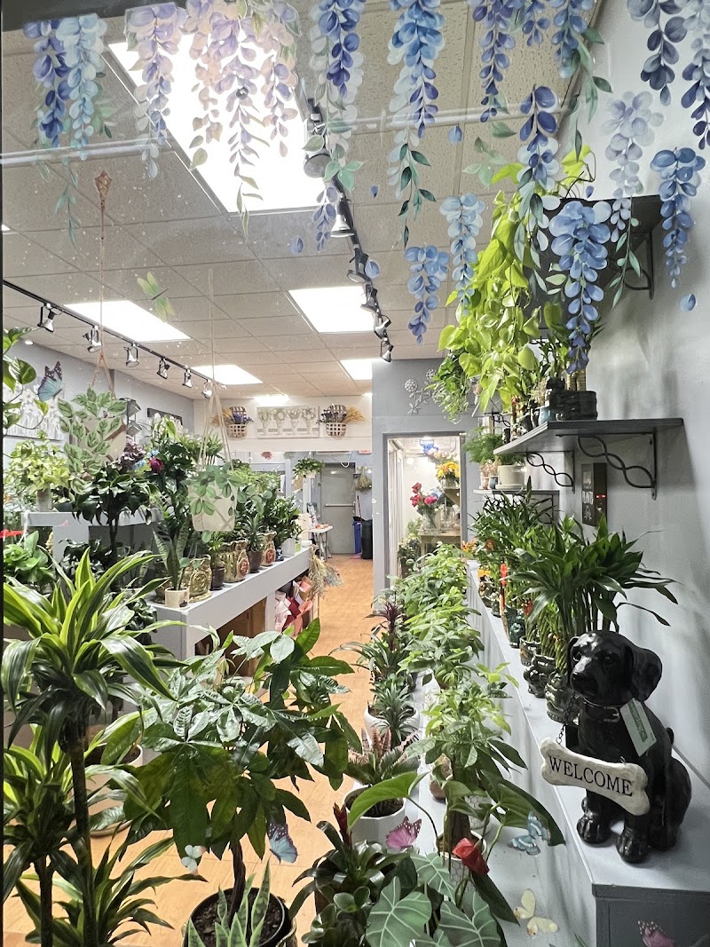 Irene’s Flower Market