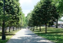 Juniper Valley Park