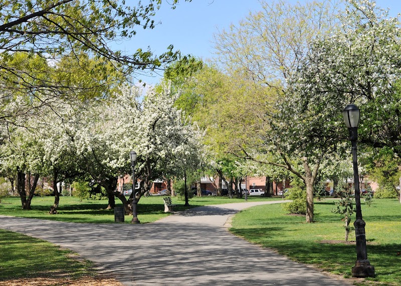 Juniper Valley Park