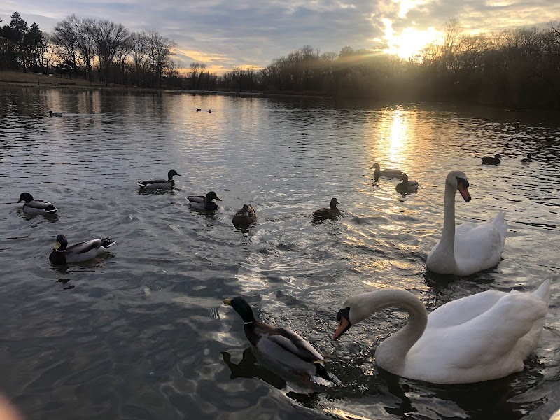 Kissena Park