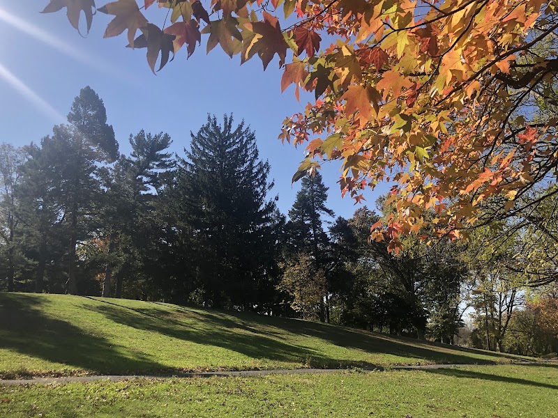 Kissena Park