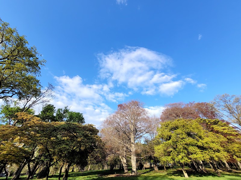 Kissena Park