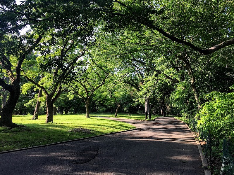 Kissena Park