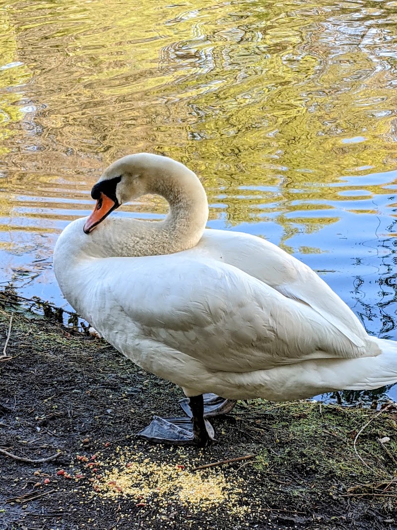 Kissena Park