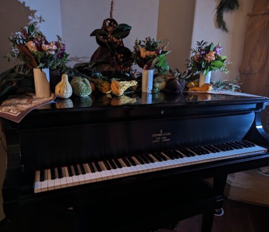 Ode à la Rose